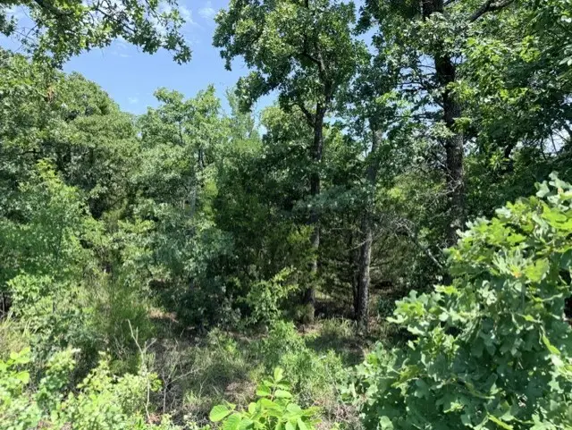 TBD Creekside, Bowie, TX 76230 - #2