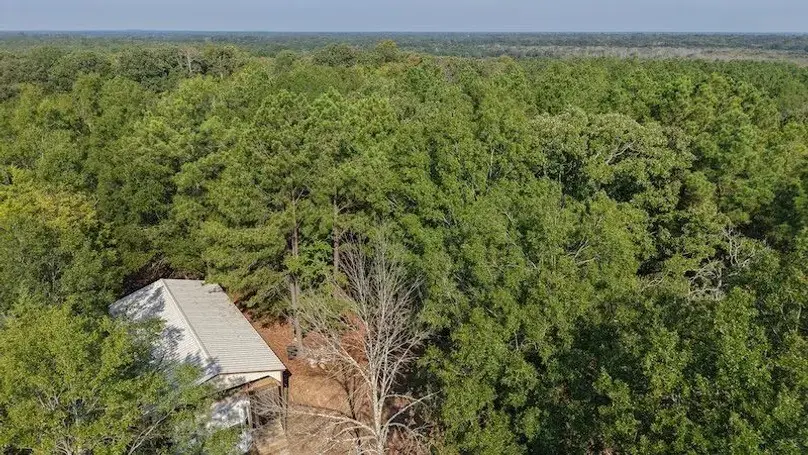 0000 Cr-3401, De Kalb, TX 75559 - #2