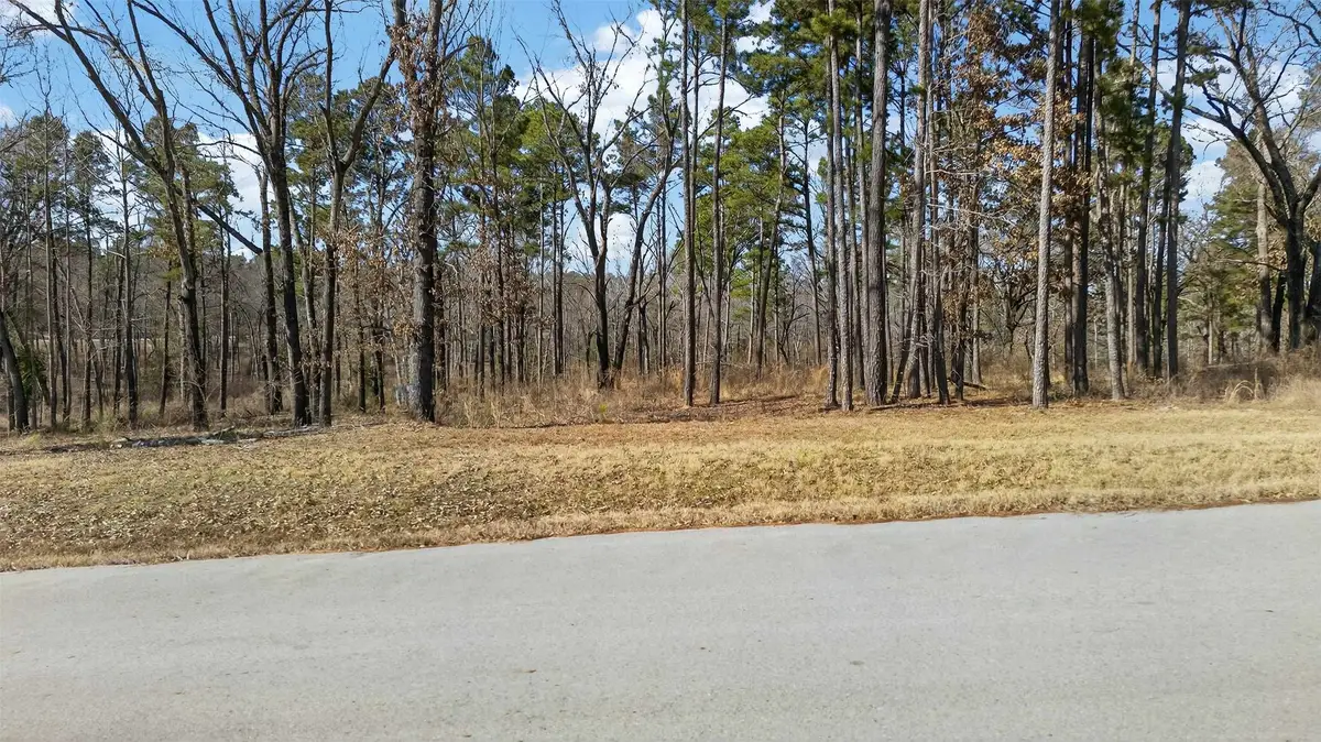 3200 Shadow Pine (lot 47) Drive, Larue, TX 75770 - #1