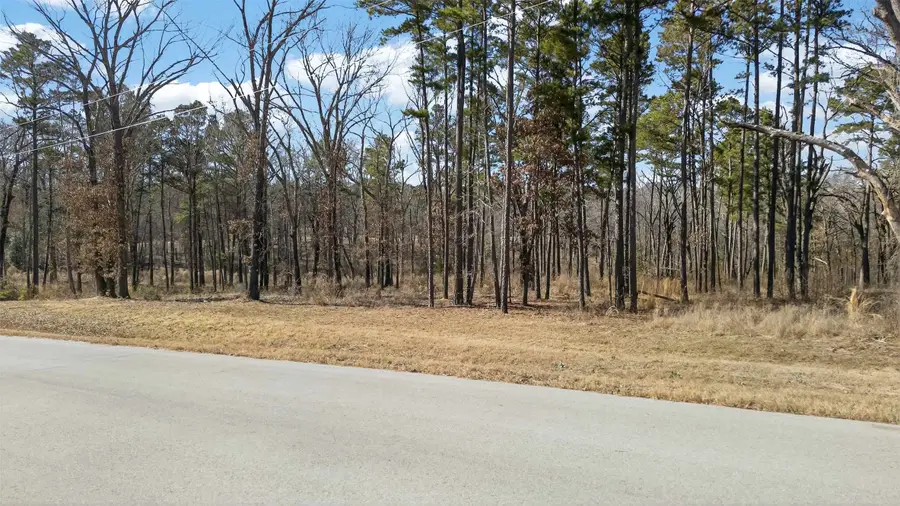 3200 Shadow Pine (lot 47) Drive, Larue, TX 75770 - #2