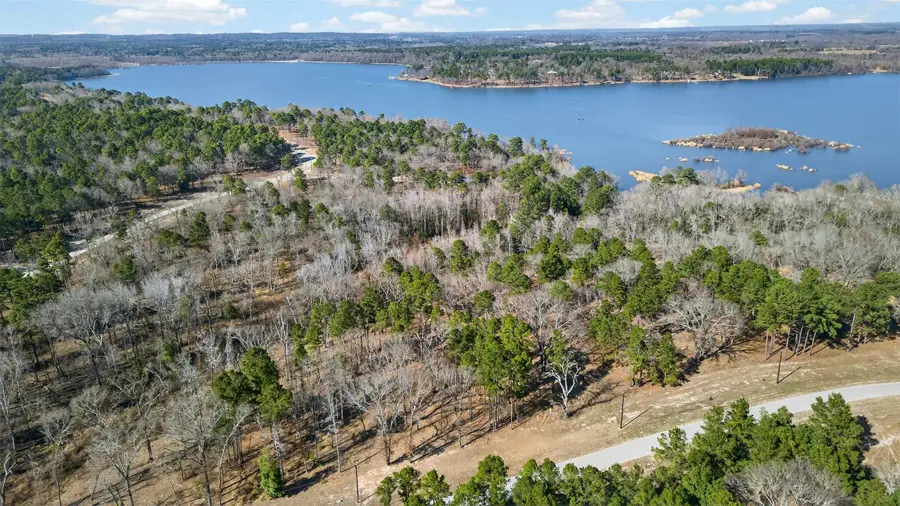 3200 Shadow Pine (lot 47) Drive, Larue, TX 75770 - #3
