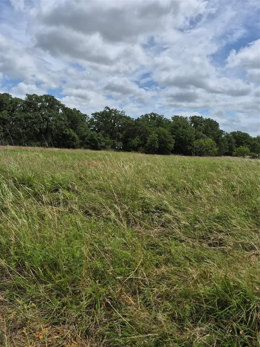 TBD Fm 175, Henrietta, TX 76365 - #3