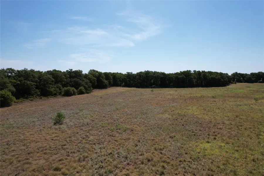 TBD Co Rd 366, Gorman, TX 76454 - #3