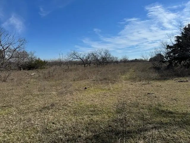 TBD Tract 3-1 Fm 642, Dawson, TX 76639 - #2