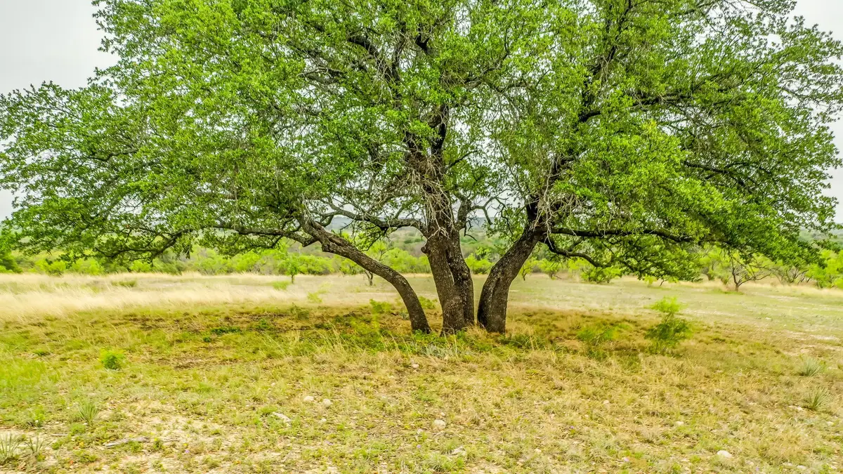 Lot 3 County Road 322, Blanket, TX 76432 - #1