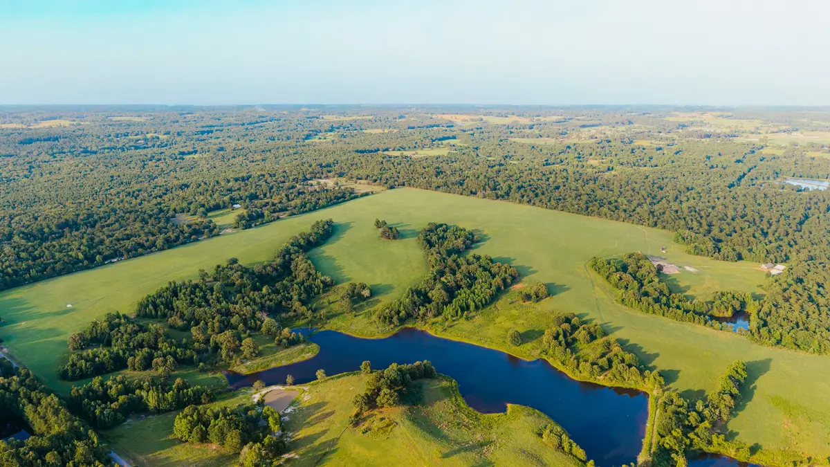 1040 County Road 3590, Winnsboro, TX 75494 - #1