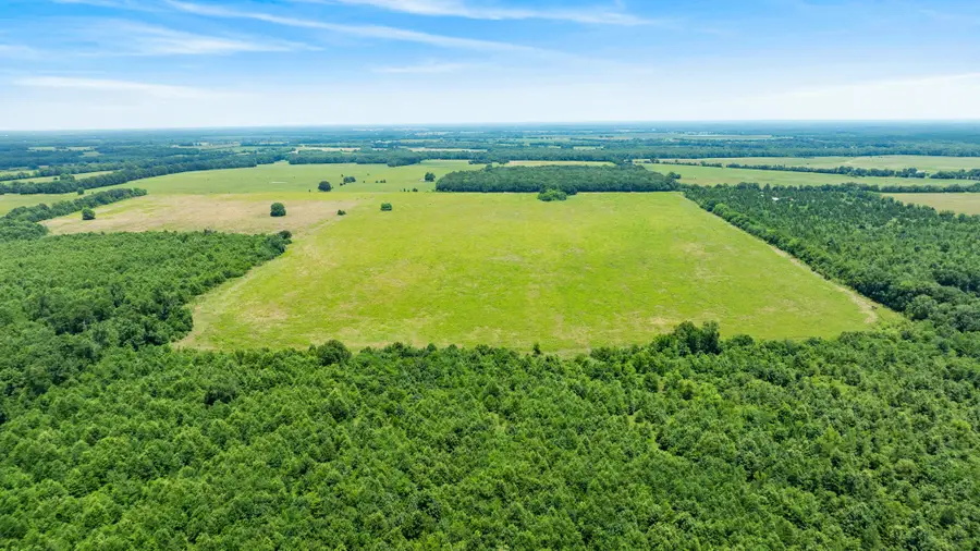 000 Cr 1357, Clarksville, TX 75426 - #2