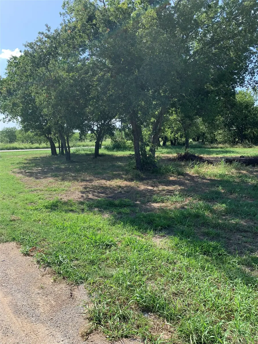 175 Cumberland Trail, Runaway Bay, TX 76426 - #2