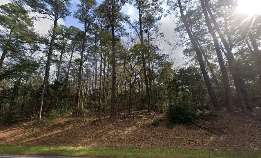 15200 Rogers Road, Willis, TX 77378 - #2