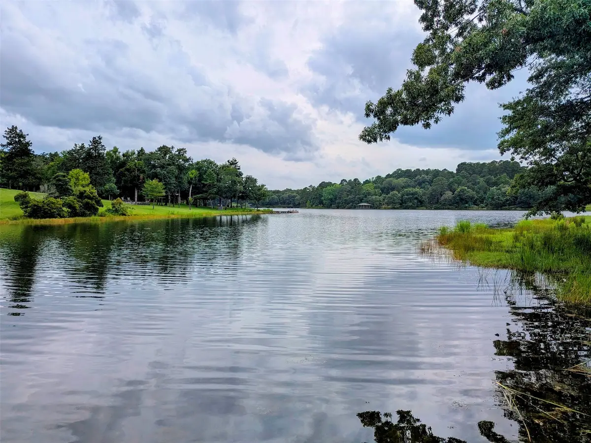00 Striper Cove, Larue, TX 75770 - #1