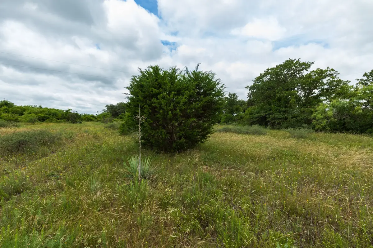 17156 County Road 225, Clyde, TX 79510 - #1