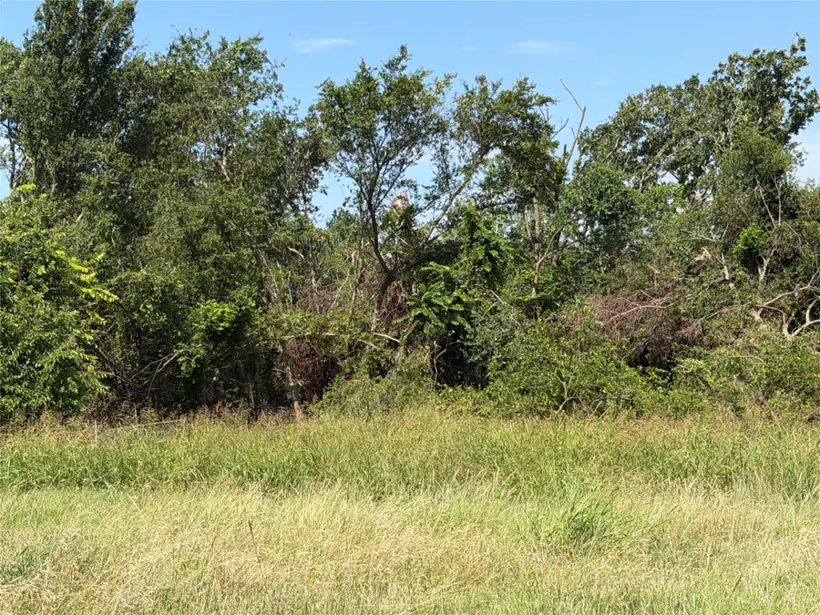 164 Private Road 3712, Paradise, TX 76073 - #3