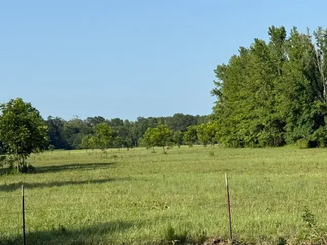 000 Highway 540 Highway, Homer, LA 71040 - #3