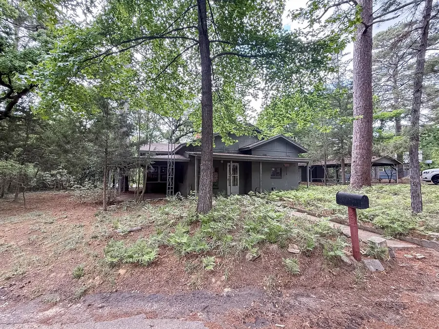 1036 Lake Franklin Dr, Winnsboro, TX 75494 - #2