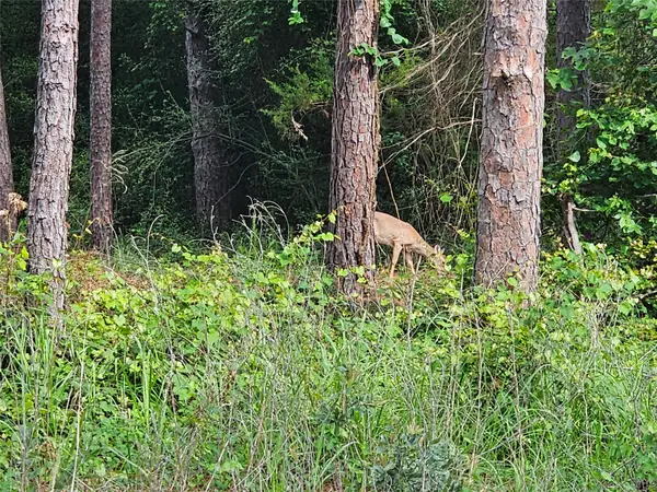 TBD Green Meadow Trail (lot 140), Holly Lake Ranch, TX 75765