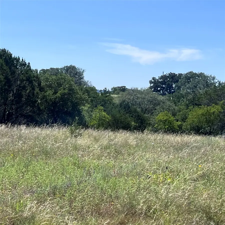Brazos Mountain Ranch Lot 97, Mineral Wells, TX 76234 - #2