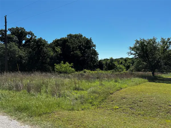 81 N Sandpiper Drive, Weatherford, TX 76088