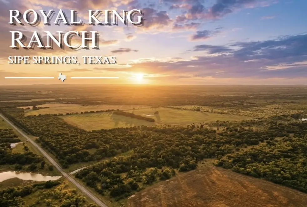 3976 Fm 1477, Comanche, TX 76442 - #1