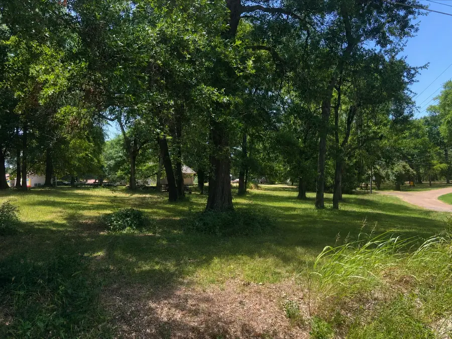 TBD Shady Shores Drive, Mabank, TX 75156 - #2