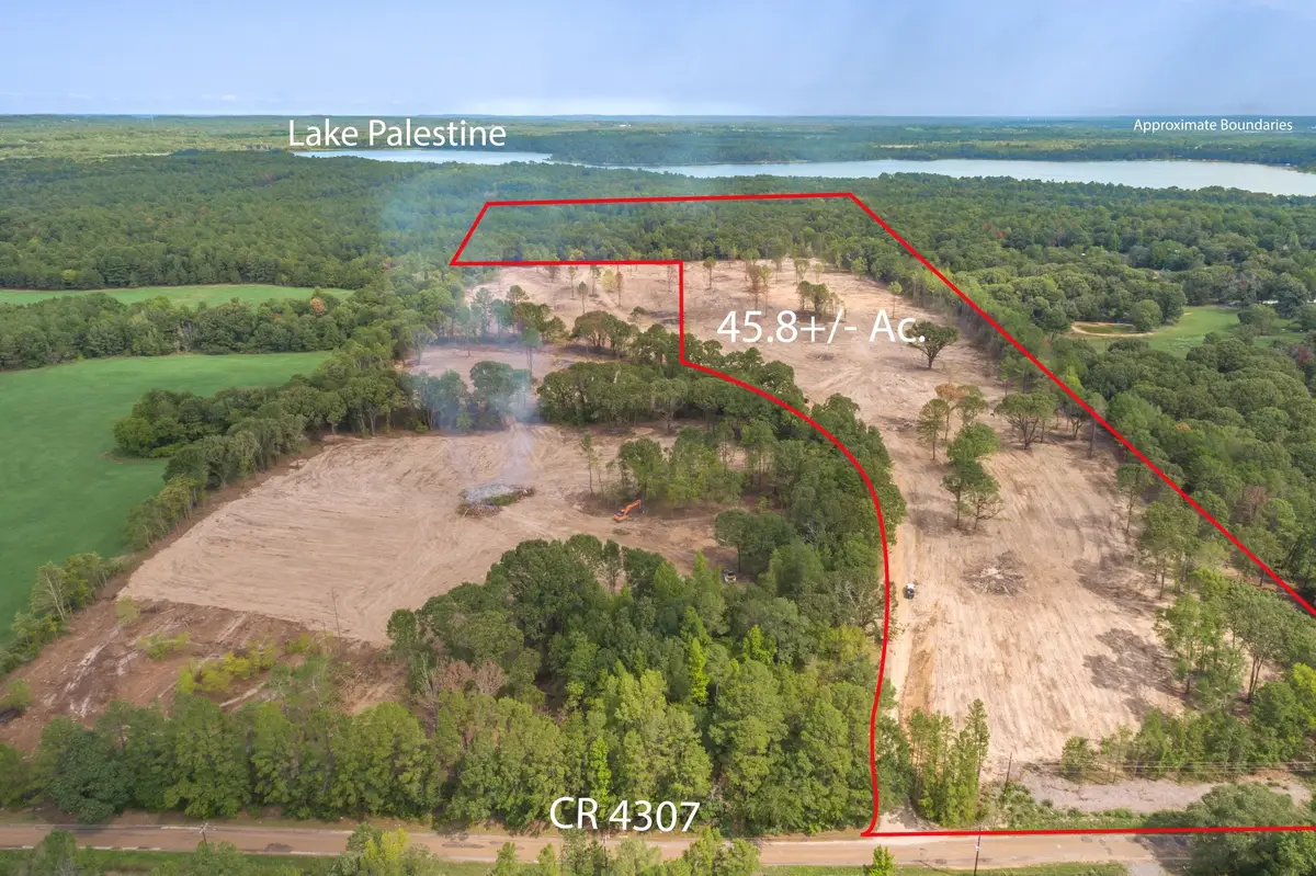 19451 County Road 4307 Road, Larue, TX 75770 - #1