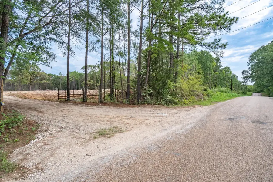 19451 County Road 4307 Road, Larue, TX 75770 - #3