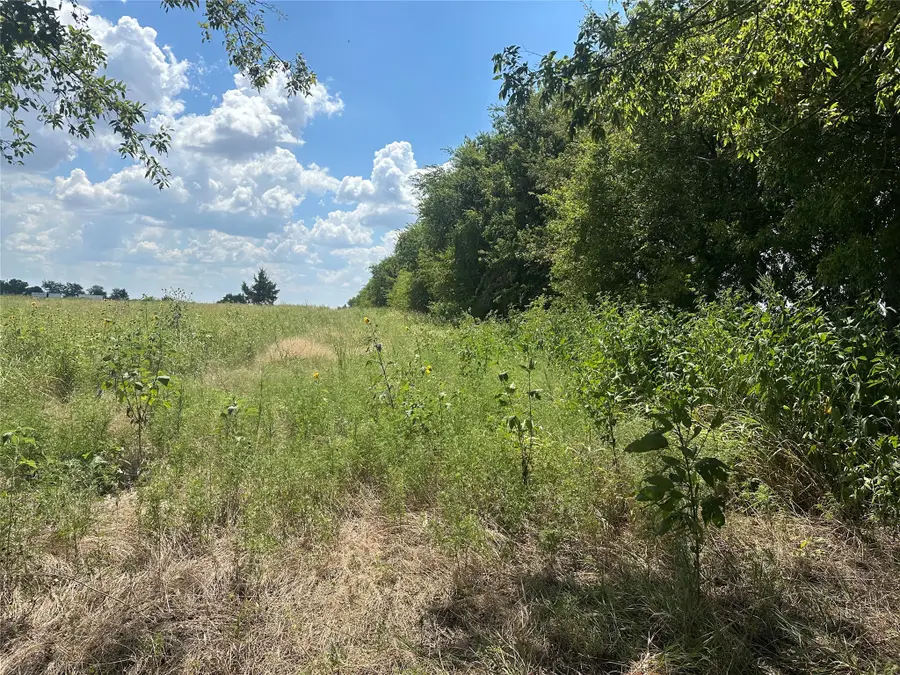 Lot 6 Rutledge Road, Whitewright, TX 75491 - #2