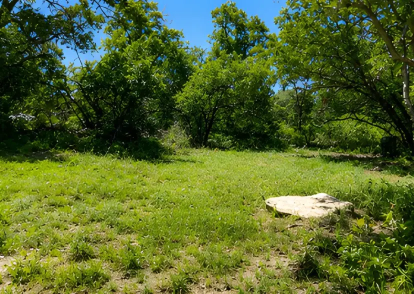 7007 Killarney Drive, Brownwood, TX 76801 - #3