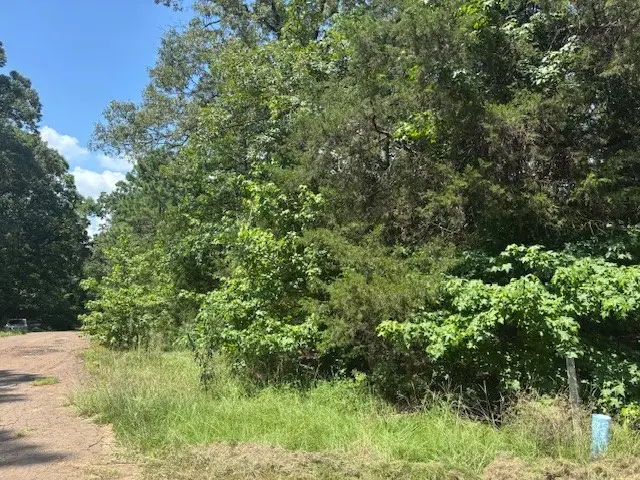 TBD Croton Lane, Mount Vernon, TX 75457 - #1