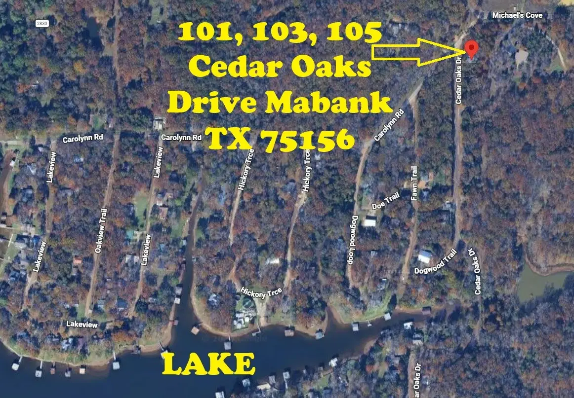 105 Cedar Oaks Drive, Mabank, TX 75156 - #1