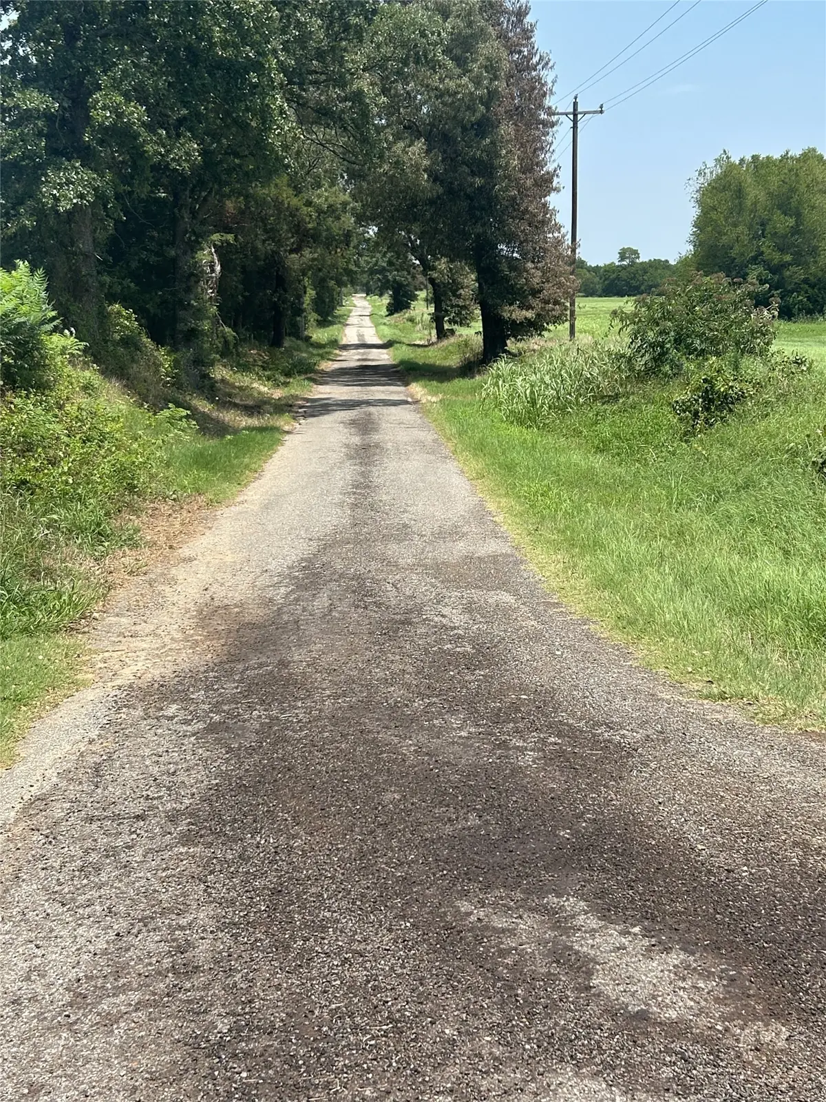 Tract A County Road 3385, Saltillo, TX 75478 - #1