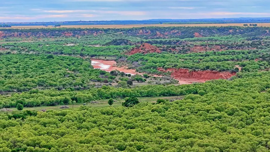 TBD Cr 4371, Goree, TX 76363 - #2