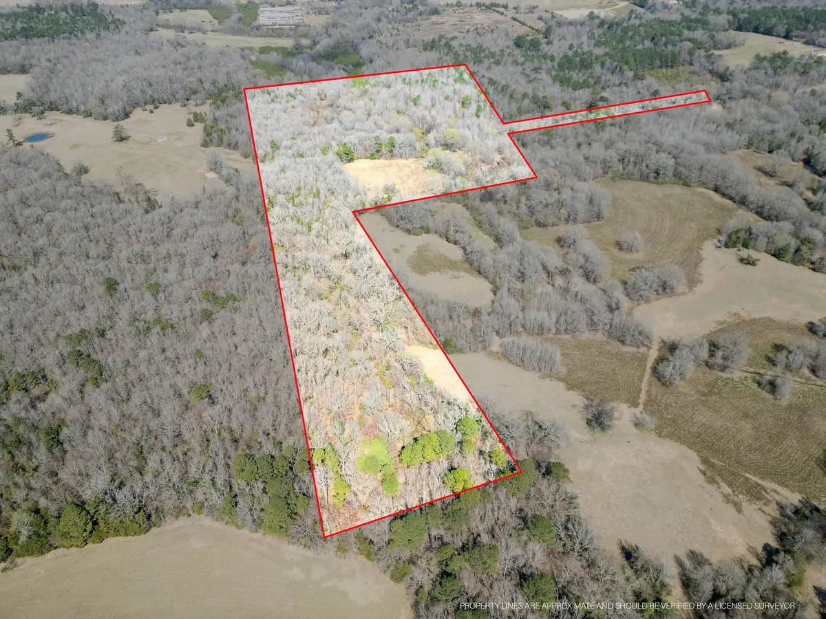 TBD Stevens Road, Marietta, TX 75566 - #1