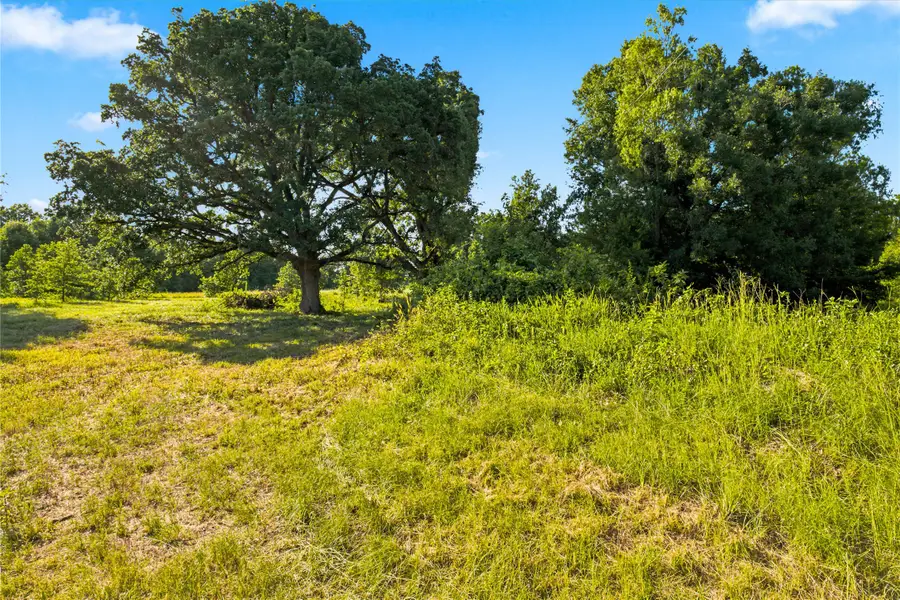 610 County Road 2040, Klondike, TX 75448 - #3