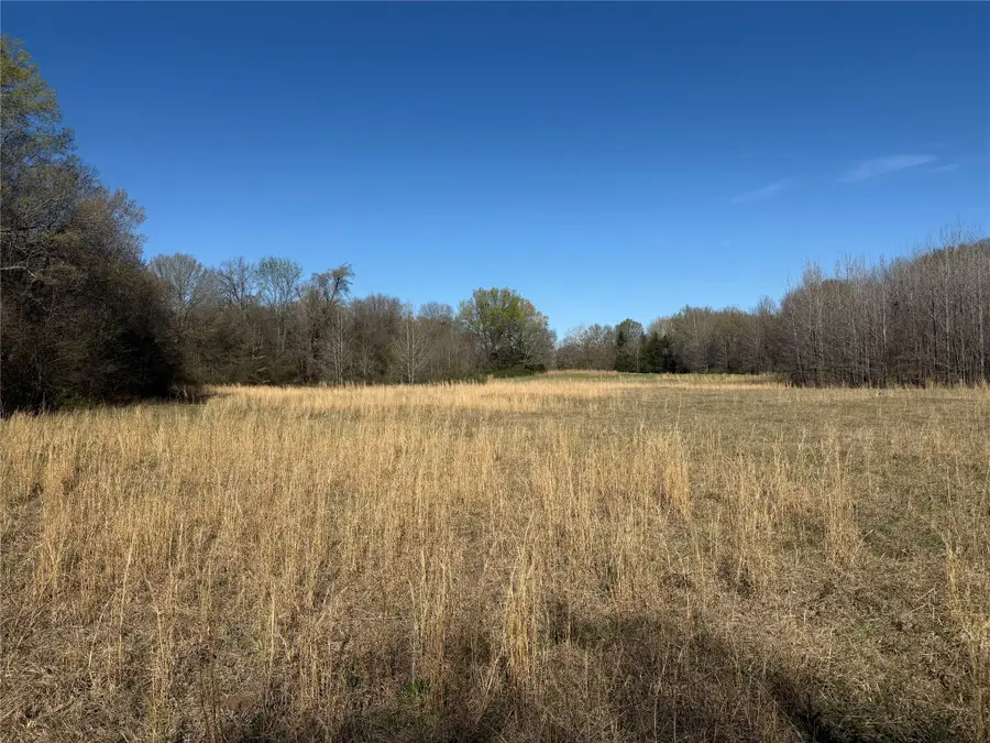 TBD County Road 44250, Powderly, TX 75473 - #2