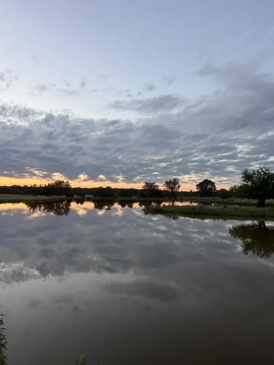 1963 County Road 44750, Blossom, TX 75416