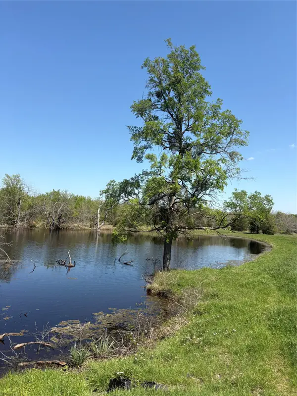 TBD 70ac Cr 4744, Sulphur Springs, TX 75482