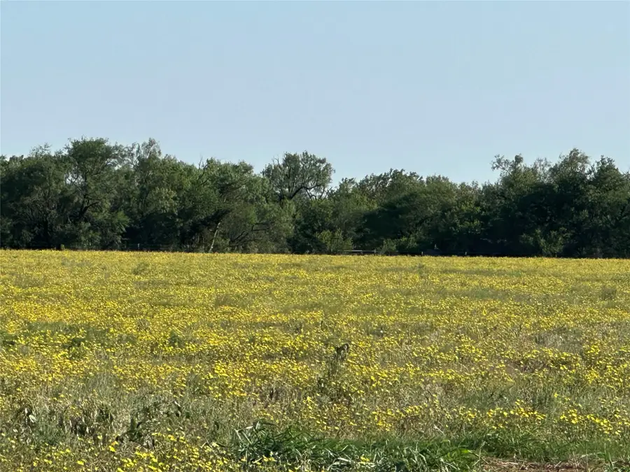 332 SW Railroad Ave, Knox City, TX 79529 - #3