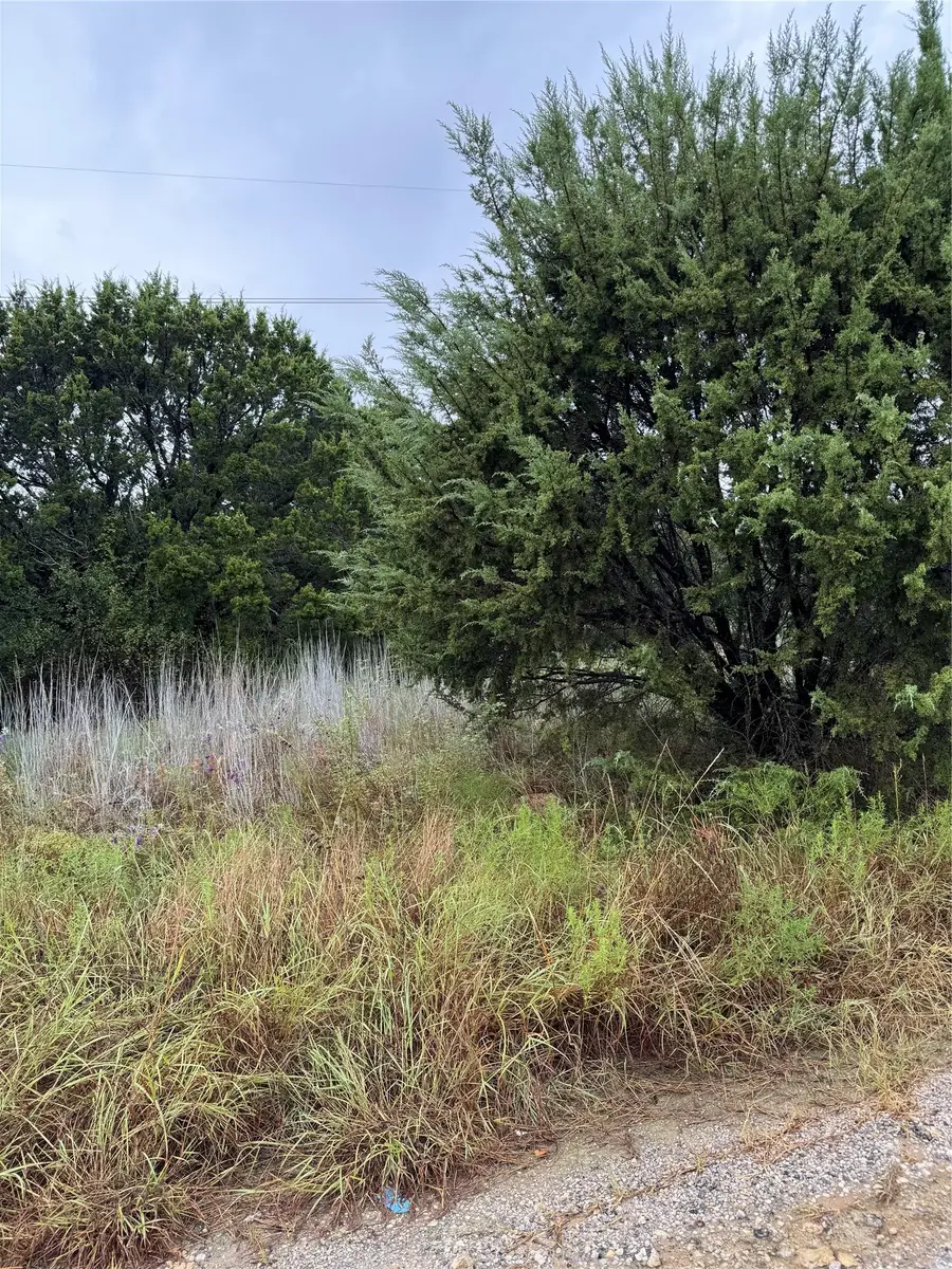 5614 Van Horn Drive, Granbury, TX 76048 - #3