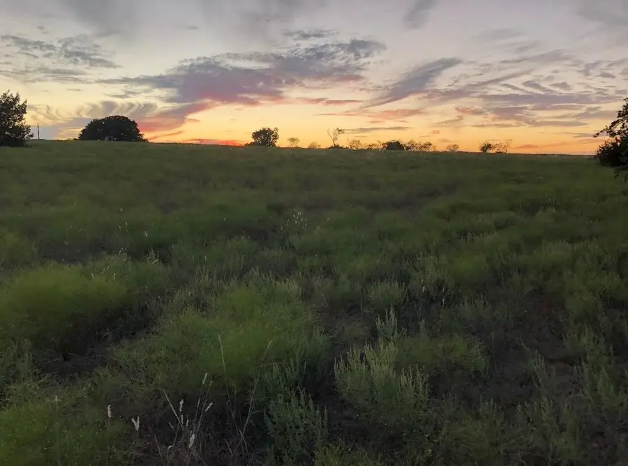 2110 County Road 362, Desdemona, TX 76445 - #3