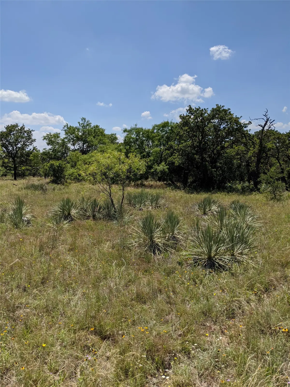 0000 Co Rd 271, Rising Star, TX 76471 - #1