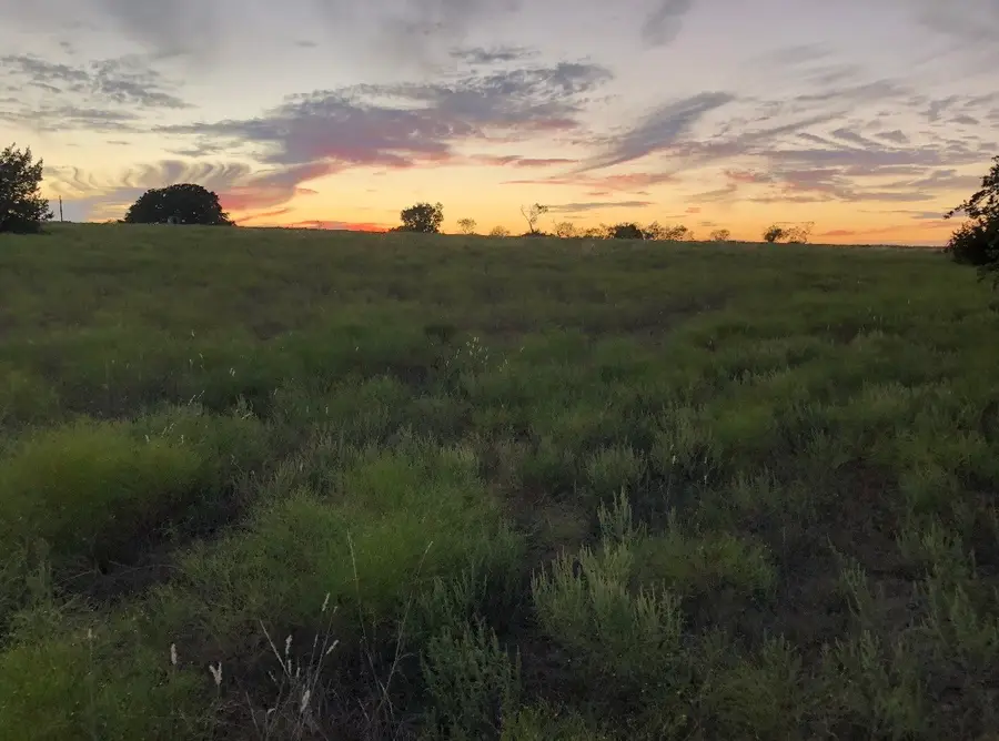 2110 County Road 362, Desdemona, TX 76445 - #3