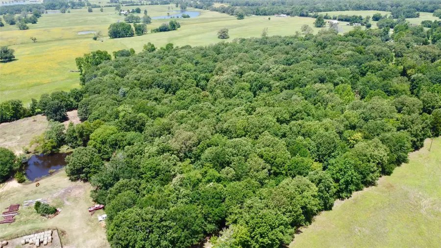 Tract 5 Cr 44400, Powderly, TX 75473 - #3