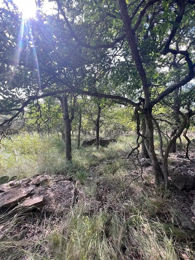 927 Cutter Circle, May, TX 76857 - #3
