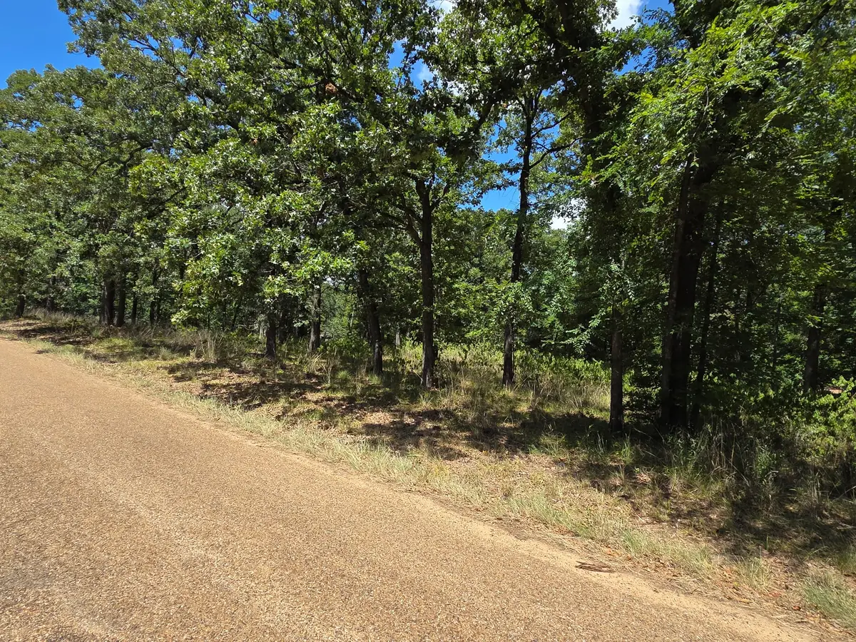 00 Hickory Street #Lot 89, Mabank, TX 75156 - #1