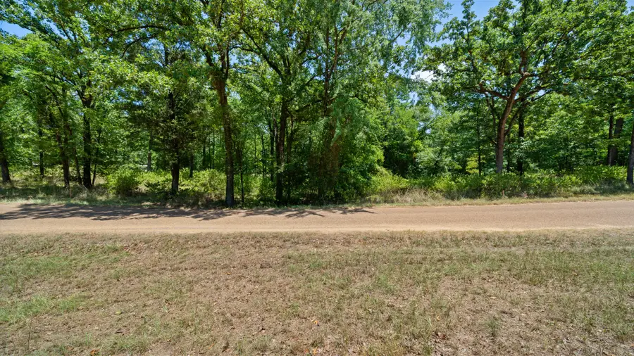 0 Hickory Street #Lot 90, Mabank, TX 75156 - #3