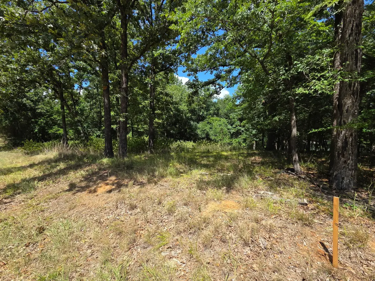 0 Hickory Street #Lot 91, Mabank, TX 75156 - #1
