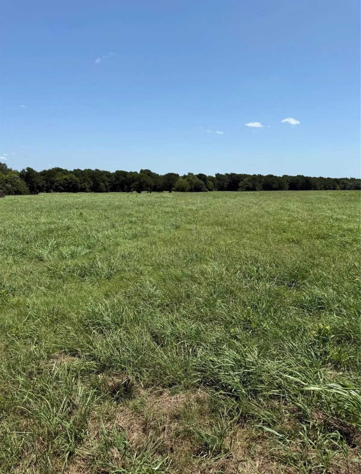 19774 Fm 47, Wills Point, TX 75169 - #1