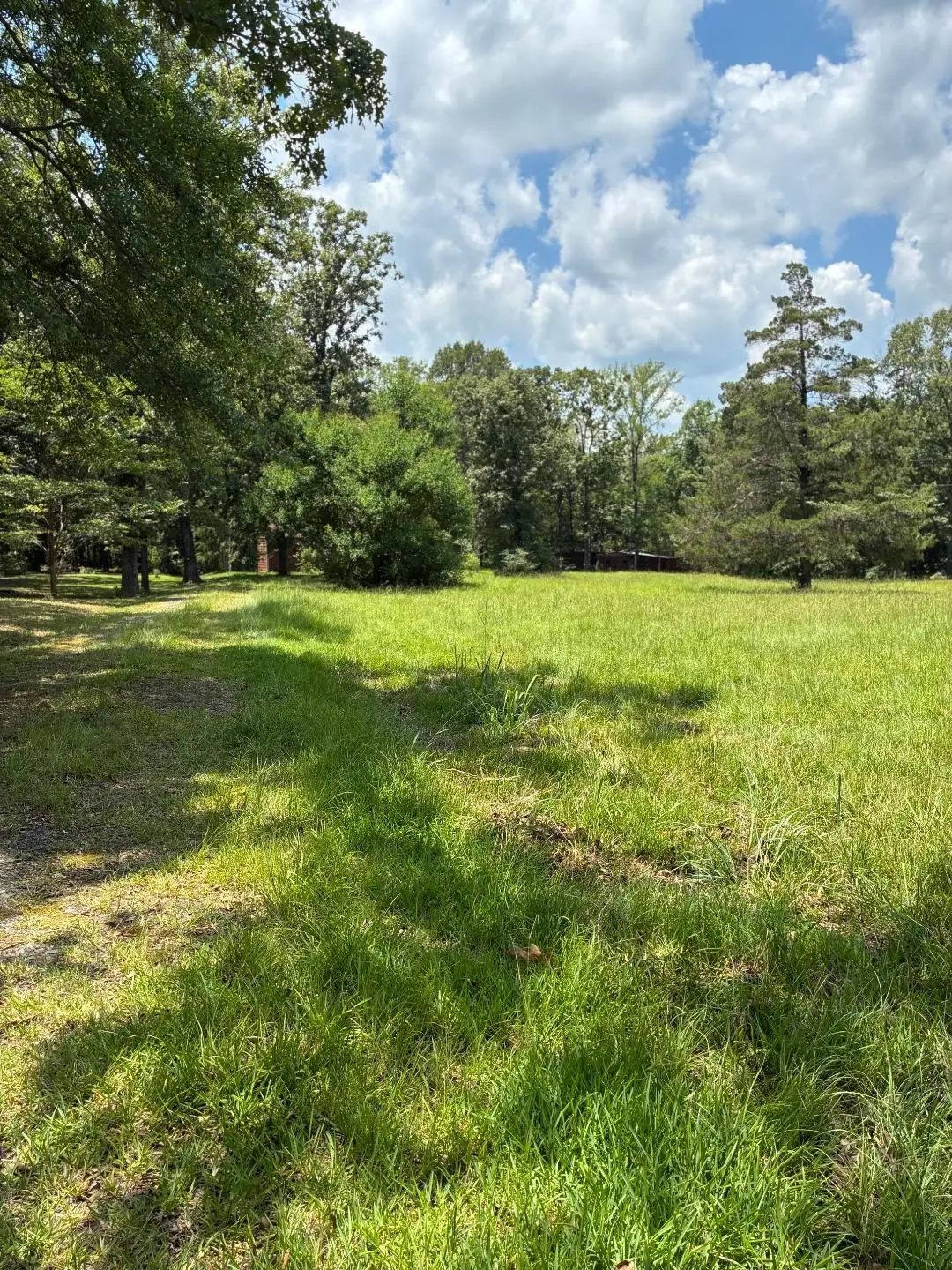 460 Brian David Road, Stonewall, LA 71078 - #1
