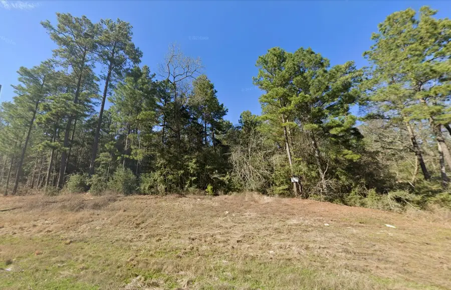 129 Feldspar Lane, Huntsville, TX 77340 - #2