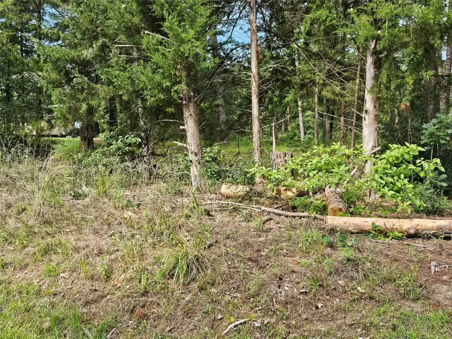 TBD Green Meadow Trail, Holly Lake Ranch, TX 75765 - #3